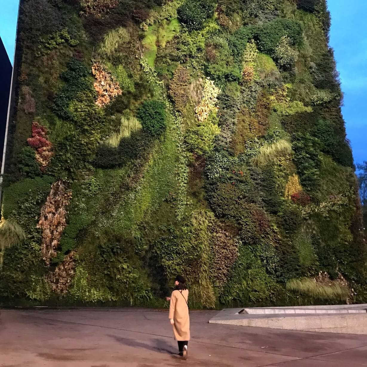 Totte | ビルの壁一面が緑で覆われる『CaixaForum Madrid』